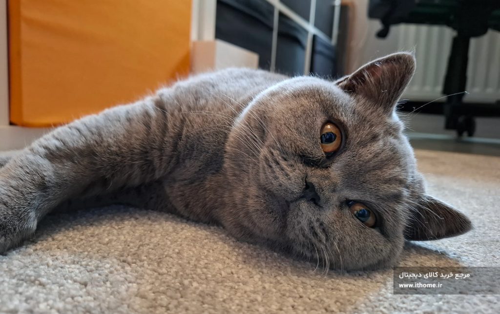 A55 گوشی سامسونگ